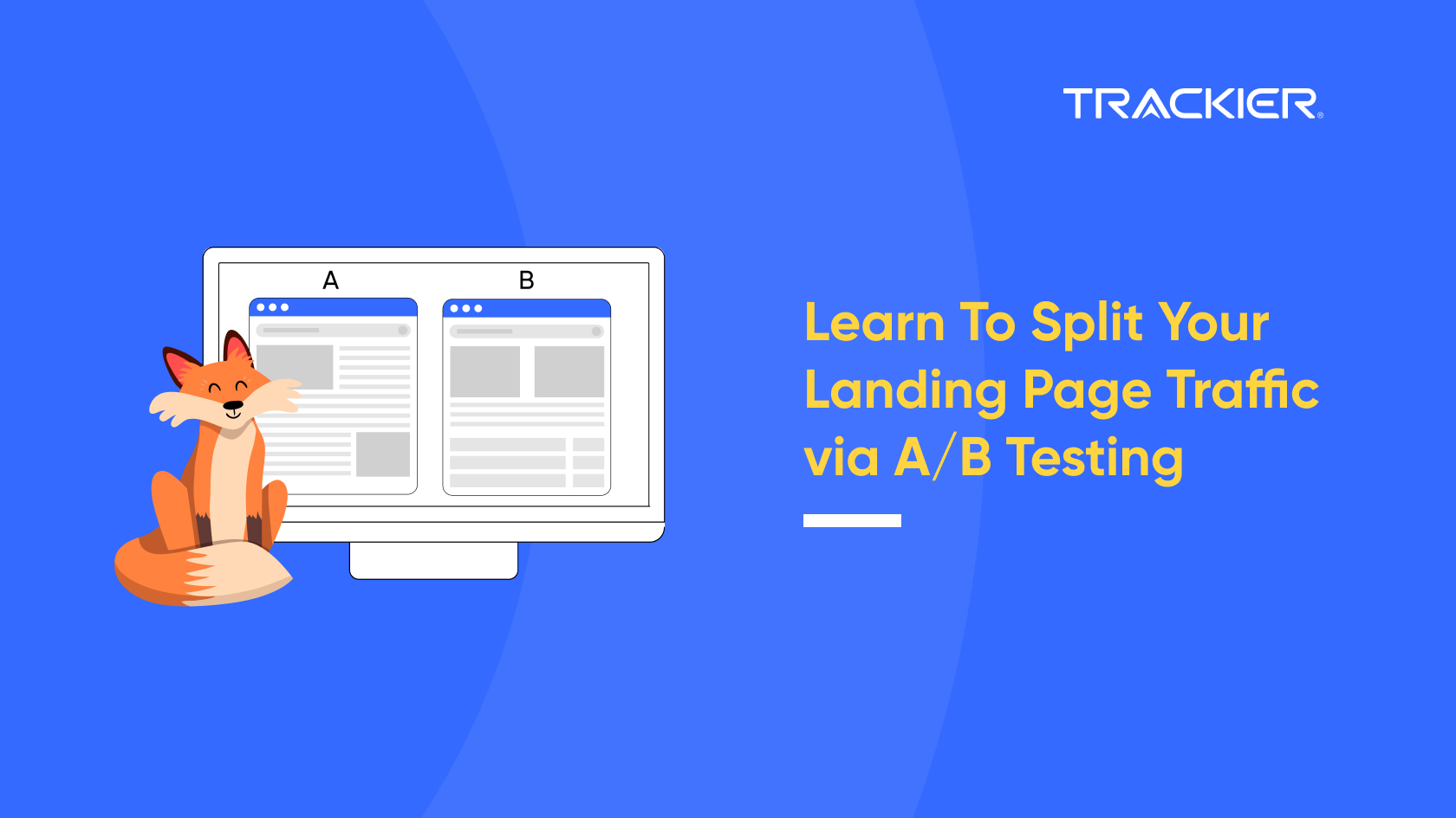 Learn To Split Your Landing Page T