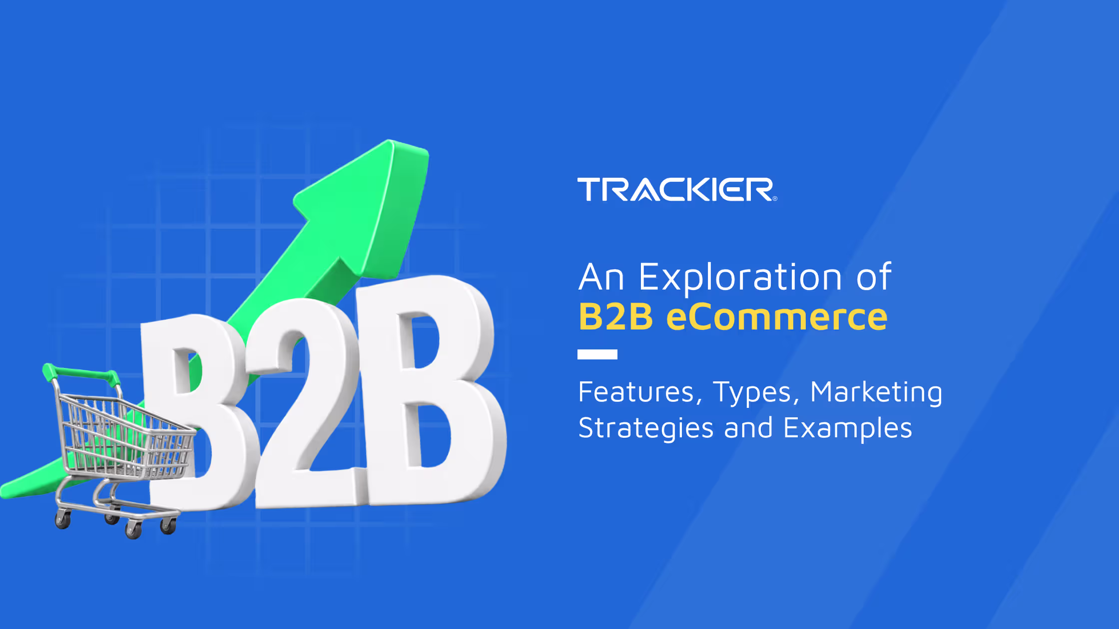 B2B Ecommerce: what is it, types, examples